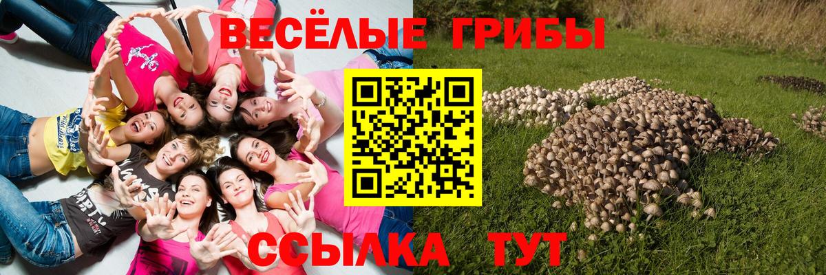Советский  Псилоцибиновые грибы мицелий  Вход с VPN 