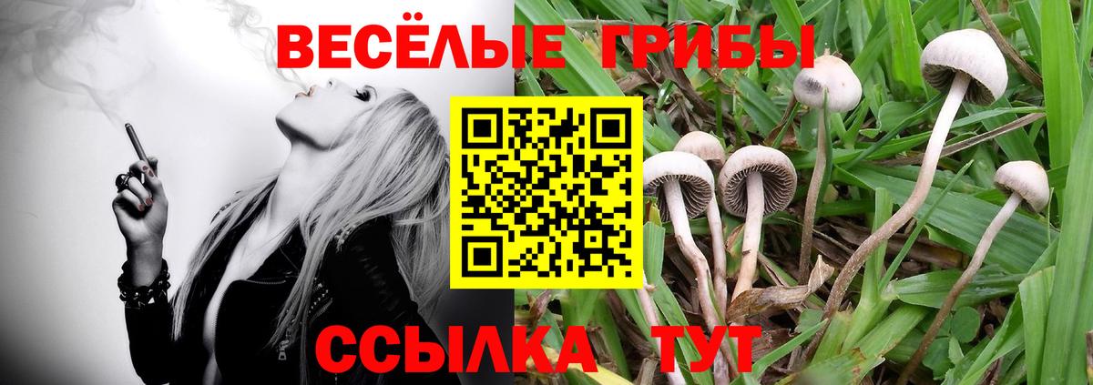 Псилоцибиновые грибы прущие грибы Советский